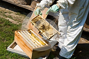 Checking a honeycomb