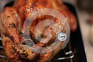 Checking with a meat thermometer to make sure the turkey is cooked to the proper temp