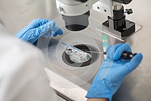 Checking result of in vitro fertilization photo