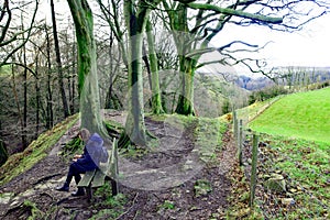 Checking the route on a winter walk at Scaleber Foss, North Yorkshire.