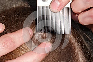 Checking a young girls hair for head lice