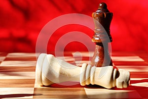 Checkmate photo