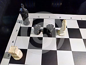 Checkmate Anastasia Chess.