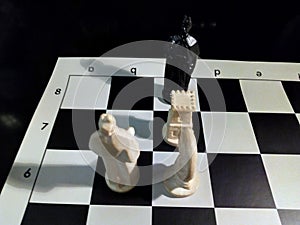 Checkmate Arabic Chess.