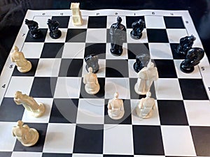 Checkmate to the white king. The victory of black pieces