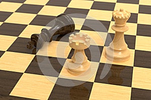 Checkmate on wooden board