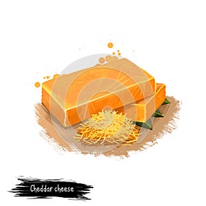 Cheddar cheese piece digital art illustration isolated on white background. Fresh dairy product, healthy organic food in