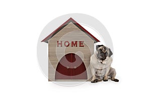 Cheeky pug puppy dog sitting down next to dog house with sign Home