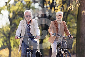 Cheerful active senior couple riding bicycles in public park together having fun. Perfect activities for elderly people.