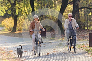 Cheerful active senior couple riding bicycles in public park together having fun. Perfect activities for elderly people.