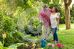 Cheerful african american senior couple gardening together in backyard