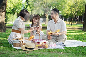 Cheerful Asian family of three having fun together at summer picnic outdoors in the park.