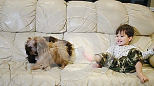 Cheerful Asian toddler playing with two puppies in the living room