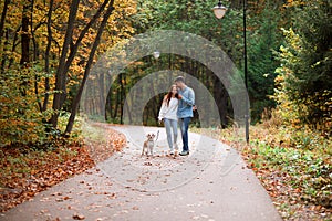 Cheerful atractive man and woman having great time outdoors