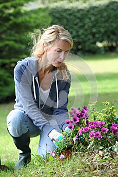 Cheerful blond woman planting flowers