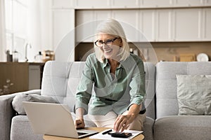 Cheerful blonde retired old woman using financial application on laptop