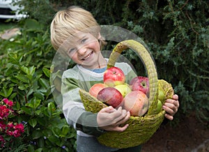 cheerful boy 6 years old with basket full of organic ripe apples. Healthy eating concept