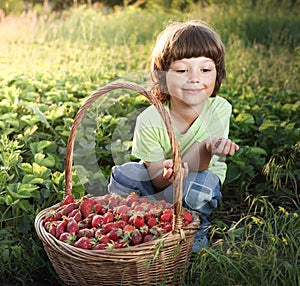 Cheerful boy with basket of berries