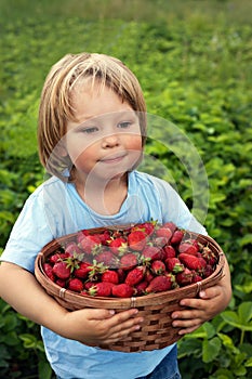 Cheerful boy with a basket of berries