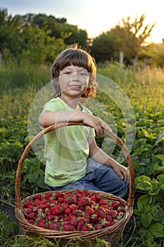 Cheerful boy with basket of berries in the summer green nature background