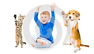 Cheerful boy, dog and cat