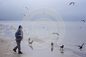 A cheerful boy feeds gulls on the seashore in winter, spring or autumn. many gulls are flying around. Cold day by the sea.