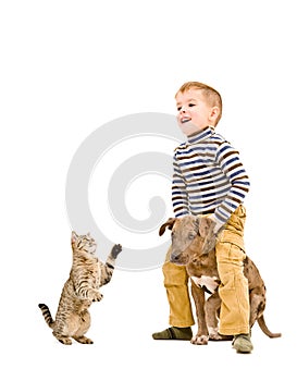 Cheerful boy playing with a puppy  and cat