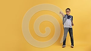 Cheerful boy schooler pointing at copy space, banner