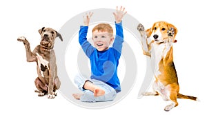 Cheerful boy and two dogs sitting together with hands raised