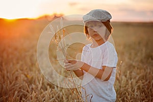 Cheerful child, boy, chasing soap bubbles in a wheat field on sunset