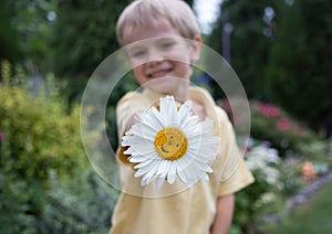 Cheerful child boy is holding chamomile flower with a smile