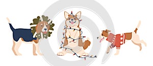 Cheerful Christmas Corgi, Jack Russel and Beagle Dogs Wearing Cozy Sweater, Wreath and Wrapped in Garland