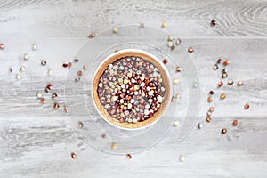 Cheerful and Colorful dried Indian Corn on light wooden surface