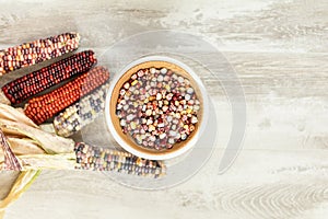 Cheerful and Colorful dried Indian Corn on light wooden surface