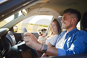 Cheerful couple and their dog traveling by car in summertime