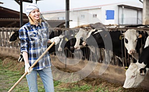 Cheerful cowgirl working with milking herd at cowhouse in farm