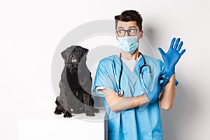 Cheerful doctor veterinarian wearing rubber gloves and medical mask, examining cute black pug dog, standing over white