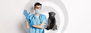 Cheerful doctor veterinarian wearing rubber gloves and medical mask, examining cute black pug dog, standing over white