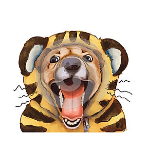Cheerful dog laughs in a tiger costume. The portrait is isolated on a white background. Portrait