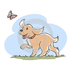 Cheerful dog playing with a butterfly