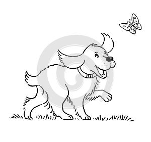 Cheerful dog playing with a butterfly