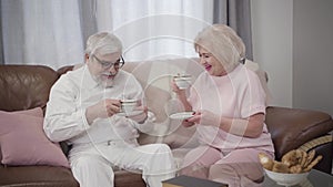 Cheerful elderly Caucasian couple clinking tea cups and talking. Joyful mature retirees spending free time at home