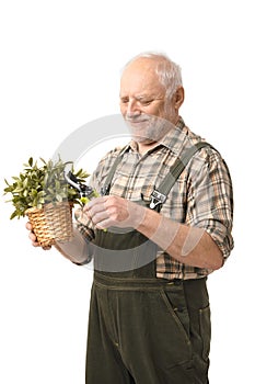 Cheerful elderly man holding plant smiling