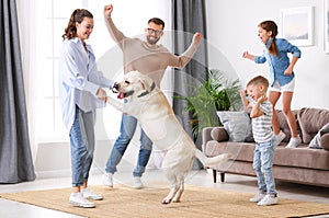 Contento famiglia un il cane danza sul 