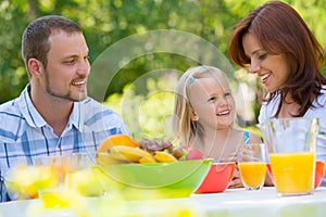 Cheerful family on picnic photo