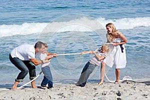 Cheerful family playing tug of war