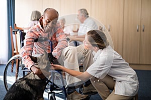 Cheerful female doctor kneeling by disabled senior man stroking puppy