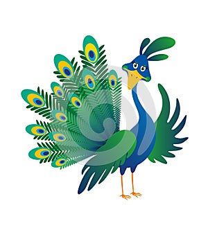 Cheerful friendly cartoon colored blue-green peacock bird