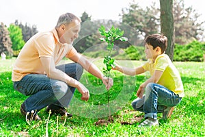 Cheerful friendly family is planting the sprout