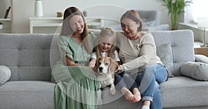 Cheerful girls and women of three family generations stroking dog